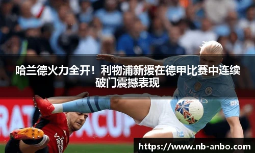 安博体育登录入口